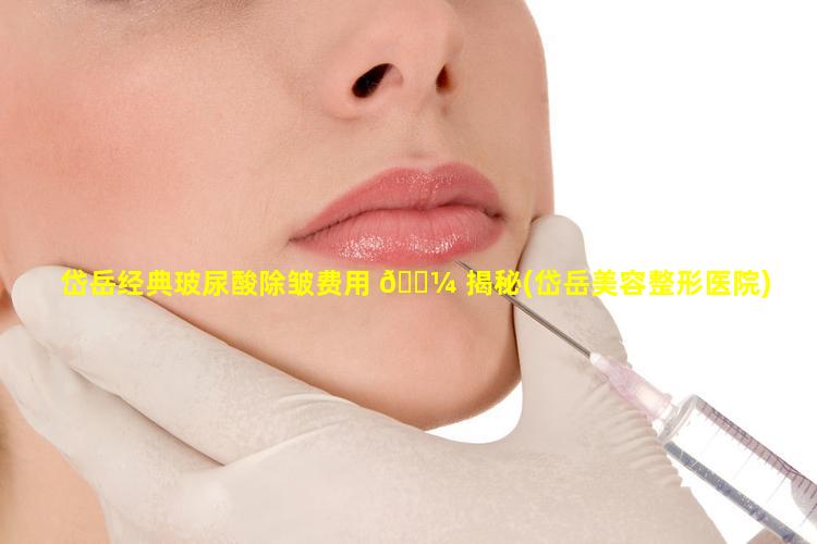 岱岳经典玻尿酸除皱费用 🌼 揭秘(岱岳美容整形医院)